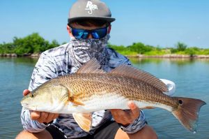 Summer Fishing for Redfish Tips and Strategies for Catching These Hard-Fighting Fish in the Shallows