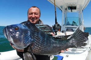 Master Black Sea Bass Fishing Proven Tips & Techniques for Success
