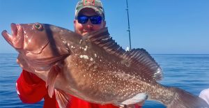 Mastering Grouper Fishing Unveiling Top Locations and Effective Technique