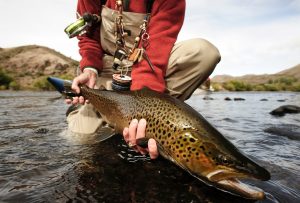 Top Fly Fishing Spots in the Rockies The Ultimate Guide for Anglers