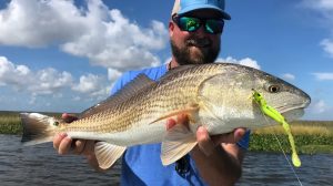 Seasonal Fishing for Inshore Saltwater Species Tips for Catching Snook, Tarpon, and Speckled Trout