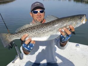 Seasonal Fishing for Inshore Saltwater Species Tips for Catching Snook, Tarpon, and Speckled Trout