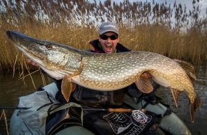 Unlocking Fall's Secrets Trophy Pike Fishing During the Pre-Spawn