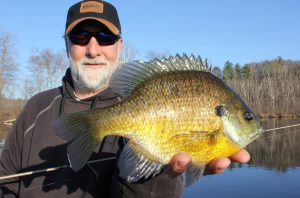 Springtime Panfish Fishing Tips and Techniques for Catching Crappie, Bluegill, and Perch