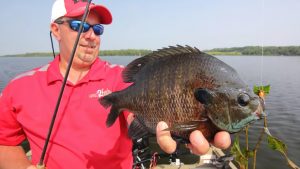 Springtime Panfish Fishing Tips and Techniques for Catching Crappie, Bluegill, and Perch