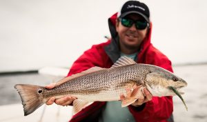 Mastering Inshore Saltwater Fishing Proven Tips for Redfish, Flounder, and Sheepshead
