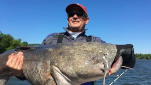 Summer Fishing for Catfish Tips and Strategies for Catching Channel and Flathead Catfish in Warm Water