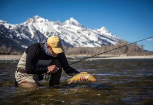 Fly Fishing the Rockies A Guide to Colorado, Wyoming & Montana's Top Rivers & Streams