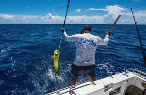 Caribbean Angler's Paradise Island Hopping Top Fishing Spots & Techniques
