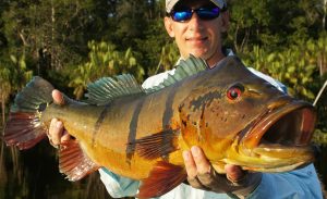 Amazon River Fishing Adventure Exotic Species, Techniques & Safety Tips for Anglers