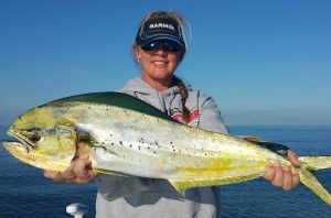 Top 10 Gulf of Mexico Fishing Spots From Shore to Deep Sea Adventure