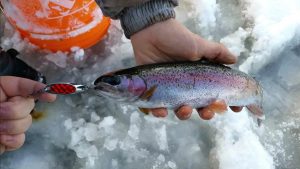 Mastering Winter Ice Fishing for Trout Proven Tips and Techniques for Rainbow, Brown, and Brook Trout