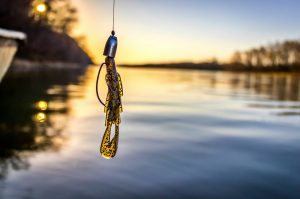 Unlocking the Secrets of Springtime Texas Rig Fishing Boost Your Bass Catch with the Ultimate Versatile Rig