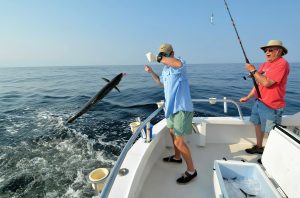 Unleashing the Power Proven Tips and Techniques for Seasonal Offshore Bottom Species Fishing