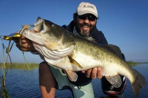 Weedy Bass Havens Unlocking Summer Secrets for Catching Monster Largemouth Bass