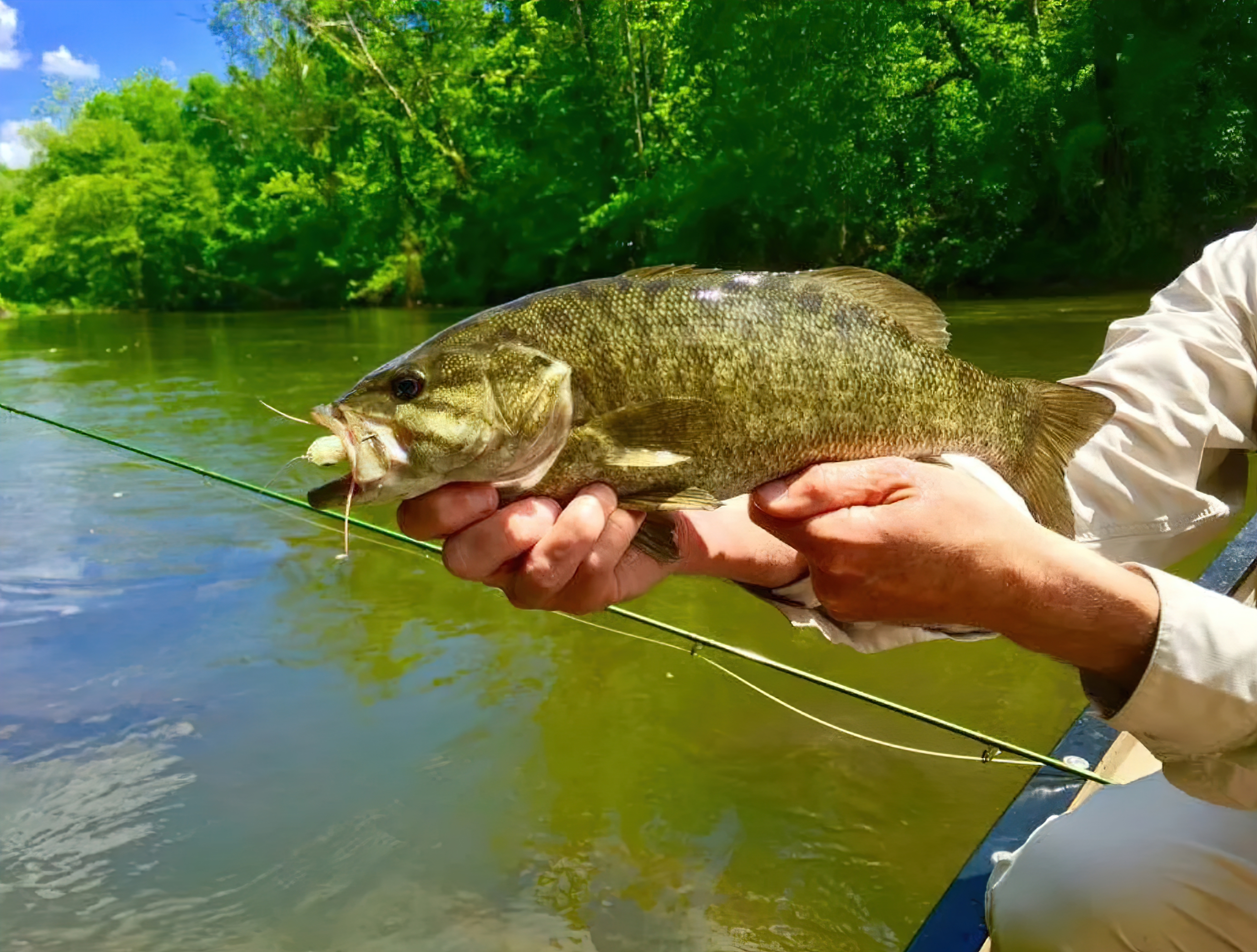 Mastering Smallmouth Bass Fishing: Essential Gear for Rivers and Streams