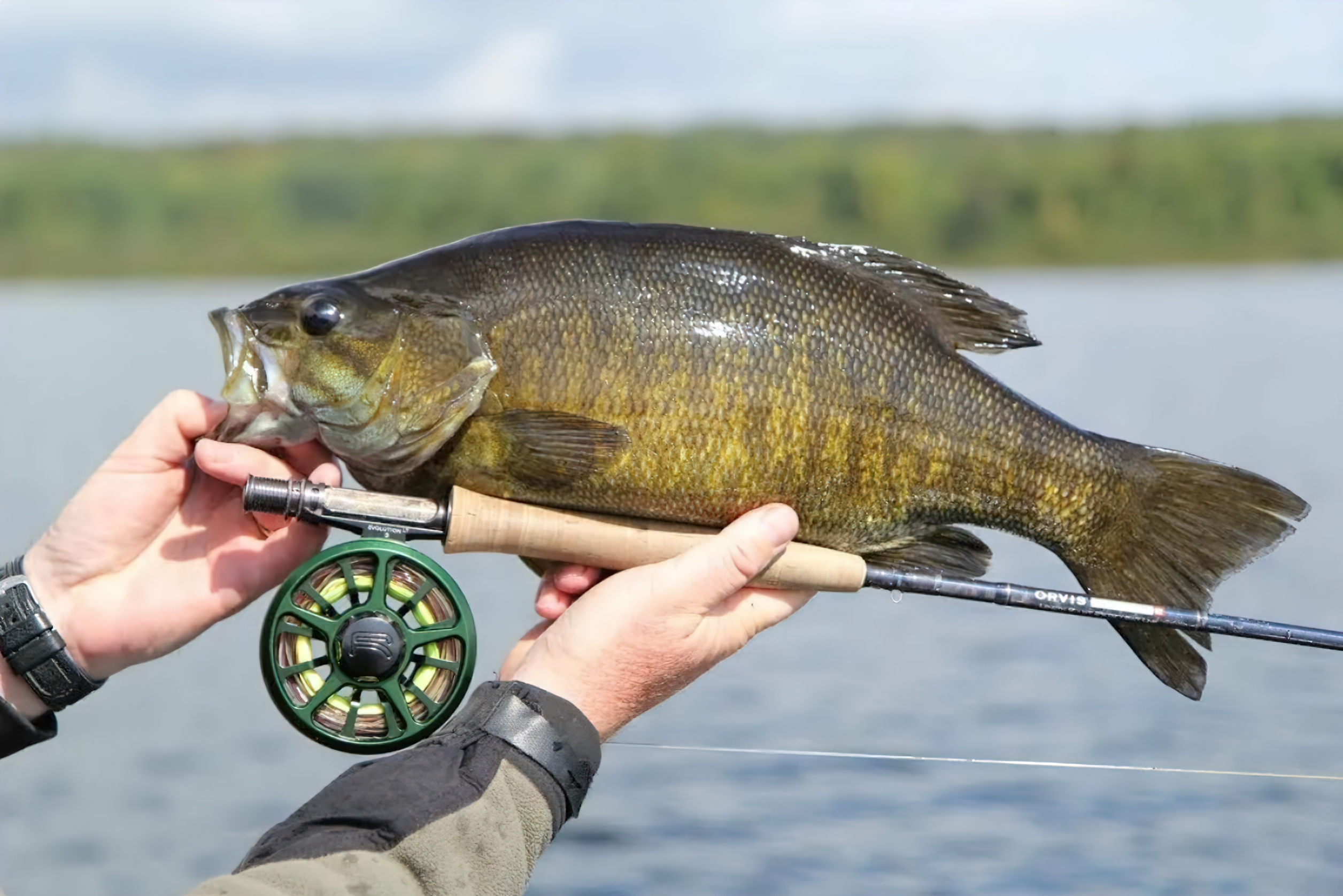 Mastering Smallmouth Bass Fishing: Essential Gear for Rivers and Streams