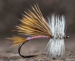 Mastering Chironomid Fishing Unlocking the Secrets to Trout Success with Fly Fishing Techniques