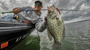 Mastering Crappie Fishing The Ultimate Guide to Jigging and Spider Rigging Techniques