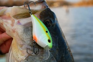 Unveiling the Hidden Techniques for Crankbait Fishing Mastering Diving Lures for a Successful Catch