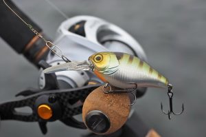 Unveiling the Hidden Techniques for Crankbait Fishing Mastering Diving Lures for a Successful Catch