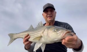 Mastering Striped Bass Fishing Live Bait and Trolling Techniques for Success