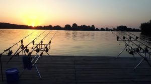 Mastering Summer Carp Fishing in Fast-Moving Water Proven Tips and Strategies for Landing Big Carp