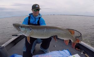 Mastering Muskie Fishing Proven Techniques for Bucktails and Topwater Lures