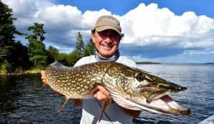 Mastering Northern Pike Fishing The Ultimate Guide to Jerkbaits and Spinners