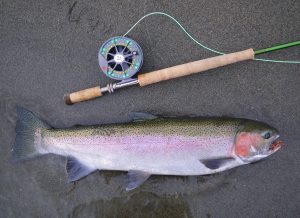 Top-Rated Gear for Steelhead and Salmon Fishing in Rivers and Streams