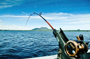 Mastering Saltwater Fishing Techniques Tips for Catching Various Species