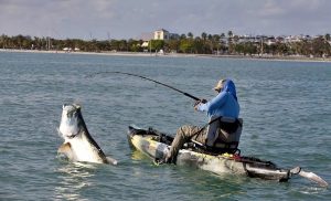 Seasonal Fishing Techniques Maximizing Your Catches Throughout the Year