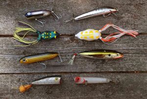 Surface Magic Mastering the Art of Topwater Lure Fishing