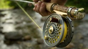 Trout Tactics Unleashed Mastering Fly and Spin Fishing Techniques
